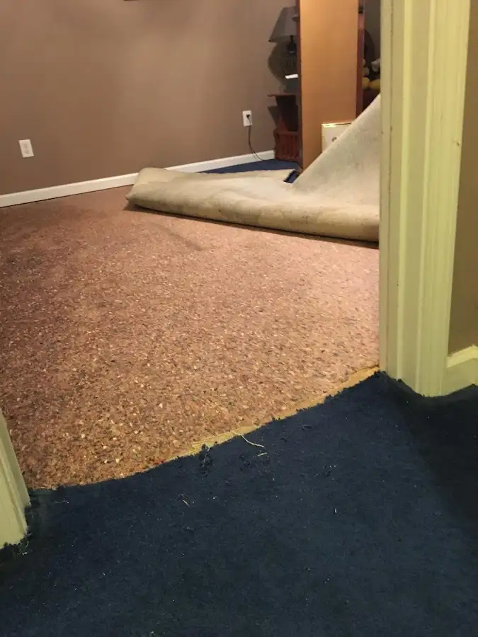 Carpet pad removal revealing water damage during Drying & Dehumidification in Lecanto