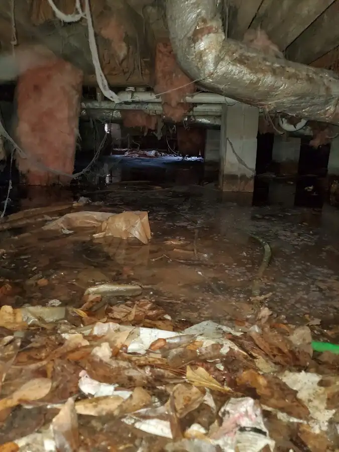 Crawl space flood assessment for Commercial Water Damage Restoration in Lecanto