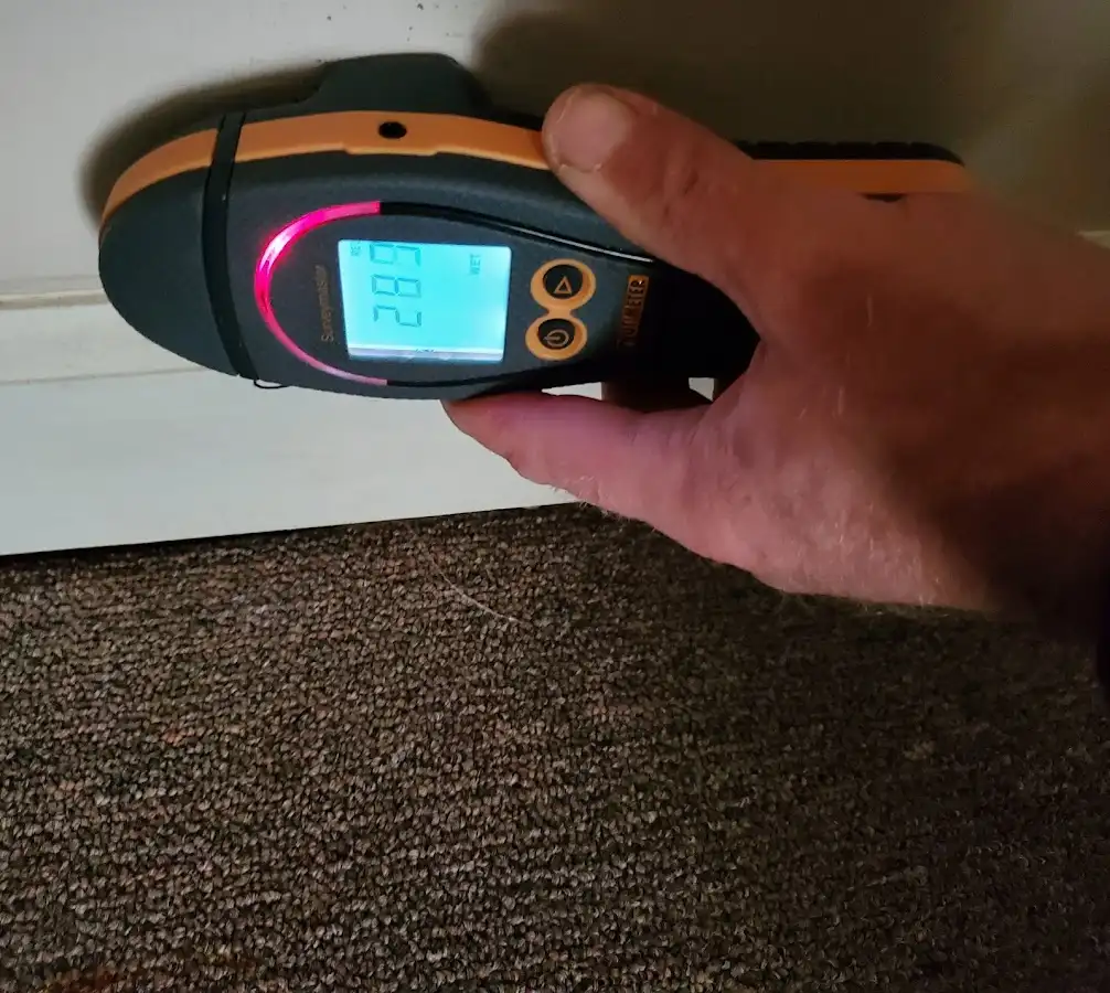 Moisture detection at baseboard during Sewage Cleanup & Sanitation in Lecanto